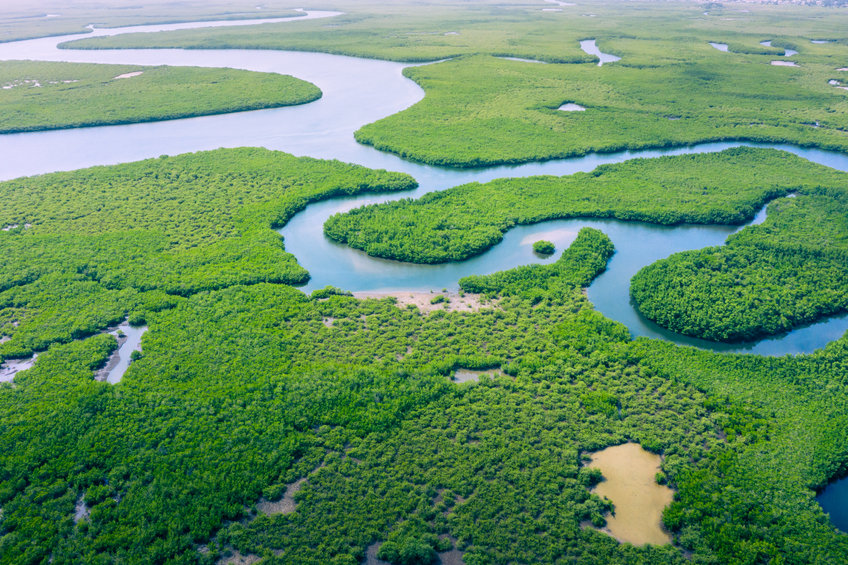 Le Parc amazonien de Guyane au Congrès mondial de la Nature | Mémento l ...