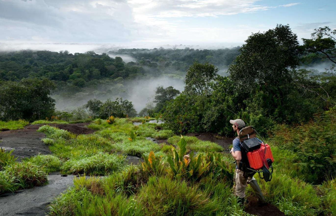 Journée Portes Ouvertes au Parc amazonien de Guyane | Mémento l ...